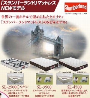 スランバーランド.jpg